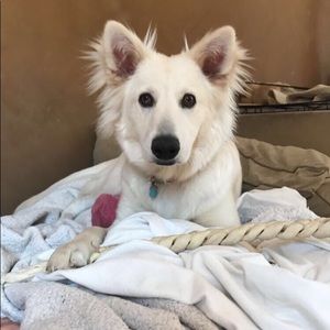 Meet your Posher, Lila